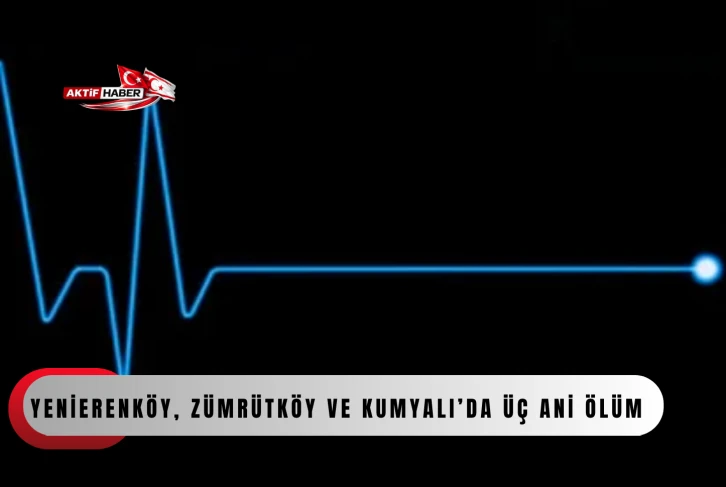 Yenierenk&ouml;y, Z&uuml;mr&uuml;tk&ouml;y ve Kumyalı&rsquo;da &uuml;&ccedil; ani &ouml;l&uuml;m...