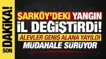 20. saate girildi: Tekirdağ'daki yangın geniş alana yayıldı! Müdahale sürüyor