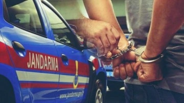 9 ilde 9 organize su&ccedil; &ouml;rg&uuml;t&uuml;ne operasyon!