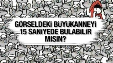 %99’u başarısız oluyor: Kurtlar arasında saklanan büyükanneyi 15 saniyede bul!