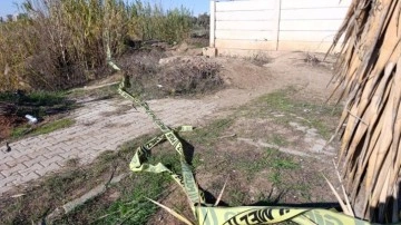 Adana'da yol kenarında kadın cesedi bulundu