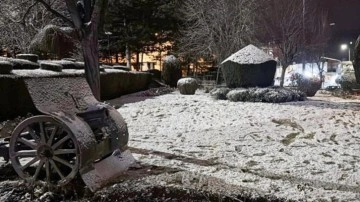 Afyonkarahisar'da kar yağışı etkili oldu