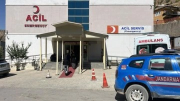 Ağaçtan ceviz topluyordu: Kahreden ölüm!