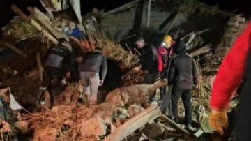 Aksaray&rsquo;da mandıra &ccedil;&ouml;kt&uuml;, &ccedil;ok sayıda hayvan telef oldu