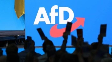 Almanya'da istihbarat, AfD'yi "aşırılık yanlısı" ilan etti