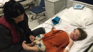 Ankara'da pitbull 2 çocuÄŸa saldırdı