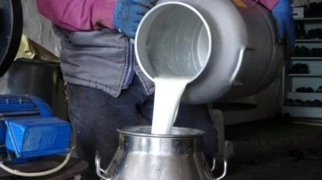 Ardahan'da süt üreticileri düşük fiyatlardan şikâyetçi