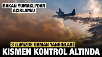 Bakan Yumaklı: 3 ilde yangınlar kısmen kontrol altına alındı