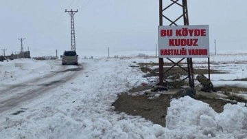 Bitlis'te kuduz alarmı: Bir k&ouml;y karantinaya alındı