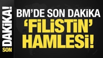 BM'de son dakika 'Filistin' hamlesi!