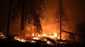 California alev alev yanıyor! 34 bin hektar alan küle döndü!
