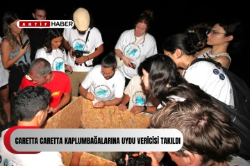  Caretta Caretta kaplumbağalarına uydu vericisi takıldı...