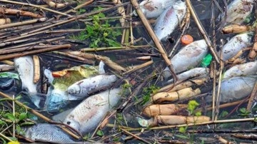 &Ccedil;evreyi kirletenlere 2026'da verilecek cezalar belli oldu