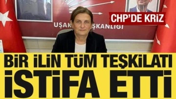 CHP Uşak İl ve Merkez İlçe yönetimleri istifa etti