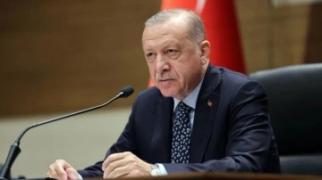 Cumhurbaşkanı Erdoğan "Anafartalar Zaferi"nin 110'uncu yıl dönümünü kutladı
