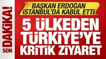 Cumhurbaşkanı Erdoğan İstanbul'da kabul etti: 5 &uuml;lkeden T&uuml;rkiye'ye kritik ziyaret