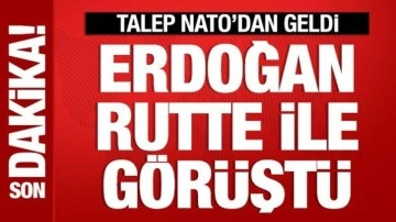 Cumhurbaşkanı Erdoğan, NATO Genel Sekreteri ile görüştü