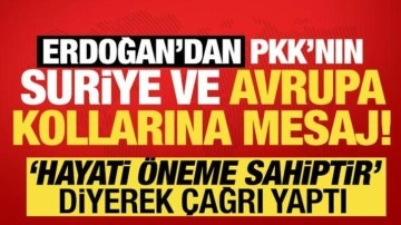 Cumhurbaşkanı Erdoğan: Örgütün tüm kolları feshe katılmalı!
