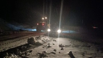 Doğu Anadolu'da kar esareti