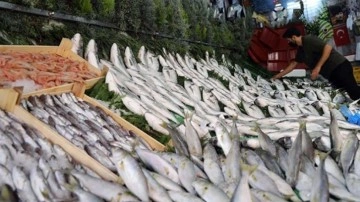 Doktorlar bile şaşırdı: İşte bağışıklığı çelik gibi yapan 5 balık