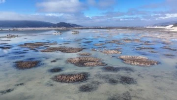 Dünya Bankası: Dünyanın yıllık tatlı su kaybı 280 milyon kişinin ihtiyacını karşılayabilir