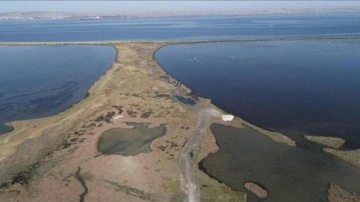 D&uuml;nya genelinde s&uuml;ren sulak alan kaybı, k&uuml;resel ekonomiyi tehdit ediyor