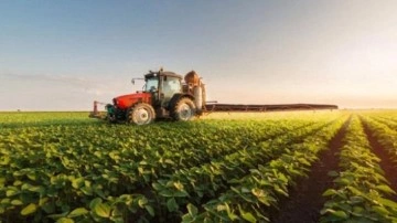 Ege B&ouml;lgesi'nin 2025'teki tarım &uuml;r&uuml;nleri ihracatı 7,5 milyar dolara ulaştı