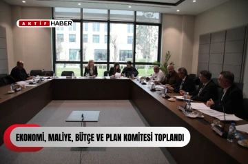  Ekonomi, Maliye, B&uuml;t&ccedil;e ve Plan Komitesi toplandı