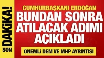 Erdoğan bundan sonra atılacak adımı açıkladı! Önemli MHP ve DEM mesajı