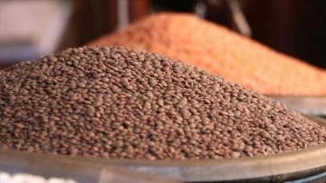 FAO: Küresel gıda fiyatları tahıl ve şeker fiyatlarındaki düşüşle mayısta geriledi