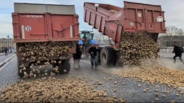 Fransız &ccedil;ift&ccedil;iler Meclis binasının &ouml;n&uuml;ne 30 ton patates d&ouml;kt&uuml;