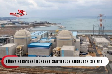 G&uuml;ney Kore&rsquo;deki n&uuml;kleer santralde korkutan sızıntı...