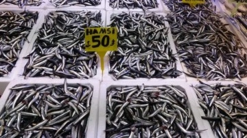 Hamsi T&uuml;rk karasularını erken terk etti