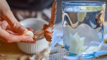 İlaçlara veda edin: Çöpe giden sarımsak kabukları bakın neye iyi geliyormuş!