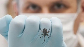 İngiltere’de kırmızı alarm: ‘Pencereleri kapatın!’ uyarısı!