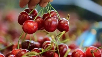 İstanbul’da Haziran ayında en çok kiraz pahalandı