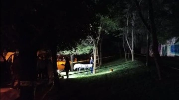 İstanbul'da korkunç olay! Ağaca asılı halde ölü bulundu