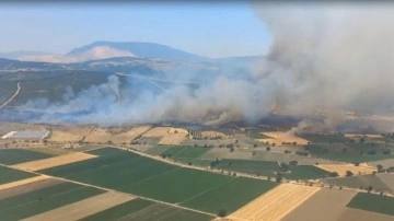 İzmir'de orman yangını: Havadan müdahale başladı