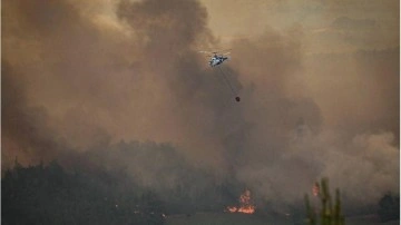 Jandarma: Orman yangınlarına ilişkin 11 gözaltı