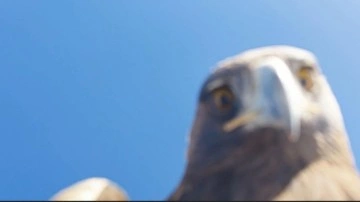 Kartal aldı zirveye bıraktı! Dağcılar 6 saatte tırmanabildi