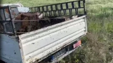 Kovan taşıyan kamyon devrildi! Etrafa binlerce arı yayıldı