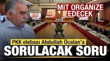 MİT organize edecek! Hazırlıklar başladı! işte Öcalan'a sorulacak  soru!