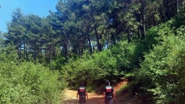 Muğla'da ormanlara girişler yasaklandı