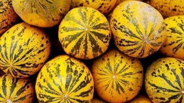 Mut zeytinyağı ve Kırkağaç kavunu AB'den coğrafi işaret tescili aldı