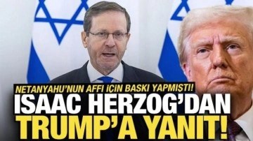 Netanyahu'nun affı için baskı yapmıştı! Herzog'dan Trump'a yanıt