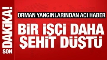Orman yangınlarından acı haber: Bir işçi daha şehit oldu
