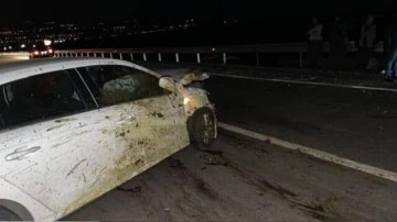 Otomobil sürüye daldı: 15 koyun telef oldu