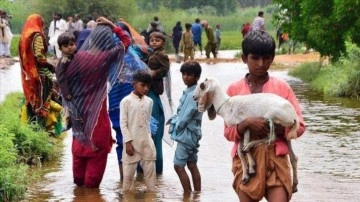 Pakistan'da facia: Can kaybı 242'ye yükseldi!