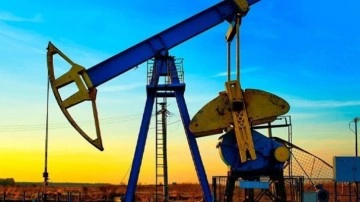 Petrol hakkına müteallik karar