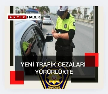 Polisin “dur” talimatına uymayanların cezası bir asgari ücret ve 100 ceza puanı oluyor